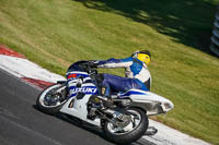 brands-hatch-photographs;brands-no-limits-trackday;cadwell-trackday-photographs;enduro-digital-images;event-digital-images;eventdigitalimages;no-limits-trackdays;peter-wileman-photography;racing-digital-images;trackday-digital-images;trackday-photos